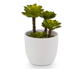 Potted Green Leafy Faux Succulent